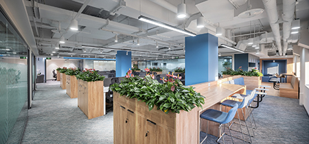 Visual Display Concept Design